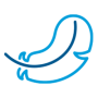 icon2 icon2